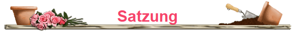 Satzung